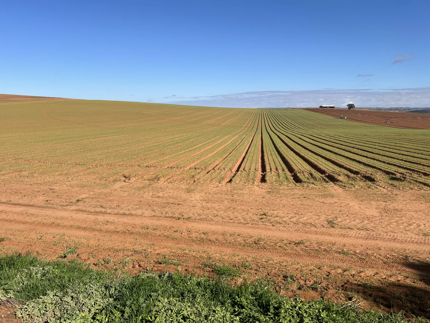 Additional image 7 of 66 Morrell Road, Bowhill SA 5238