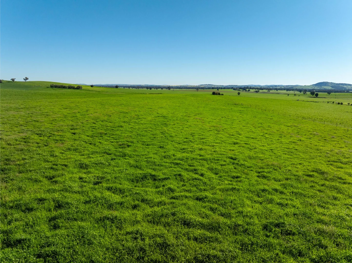 Additional image 3 of 272 Bulloc Hill Road, Mangoplah NSW 2652