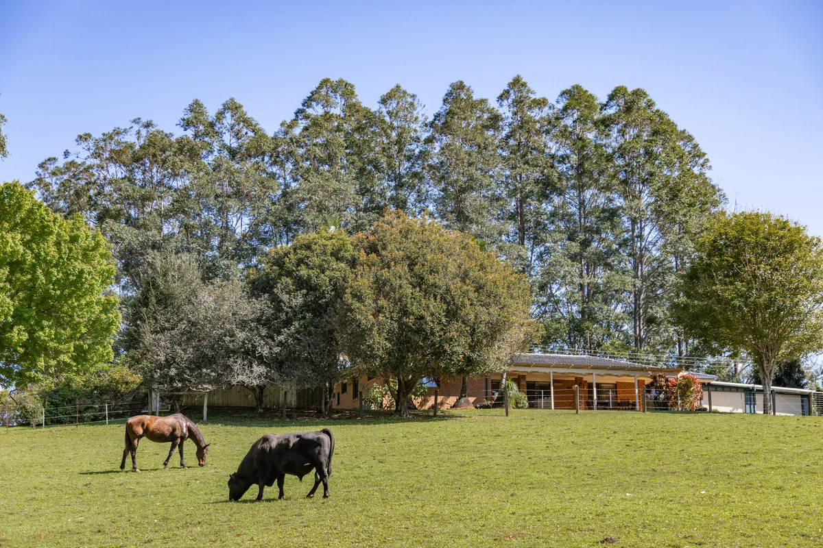 Additional image 2 of 51 Kennedys Lane, Ewingsdale NSW 2481