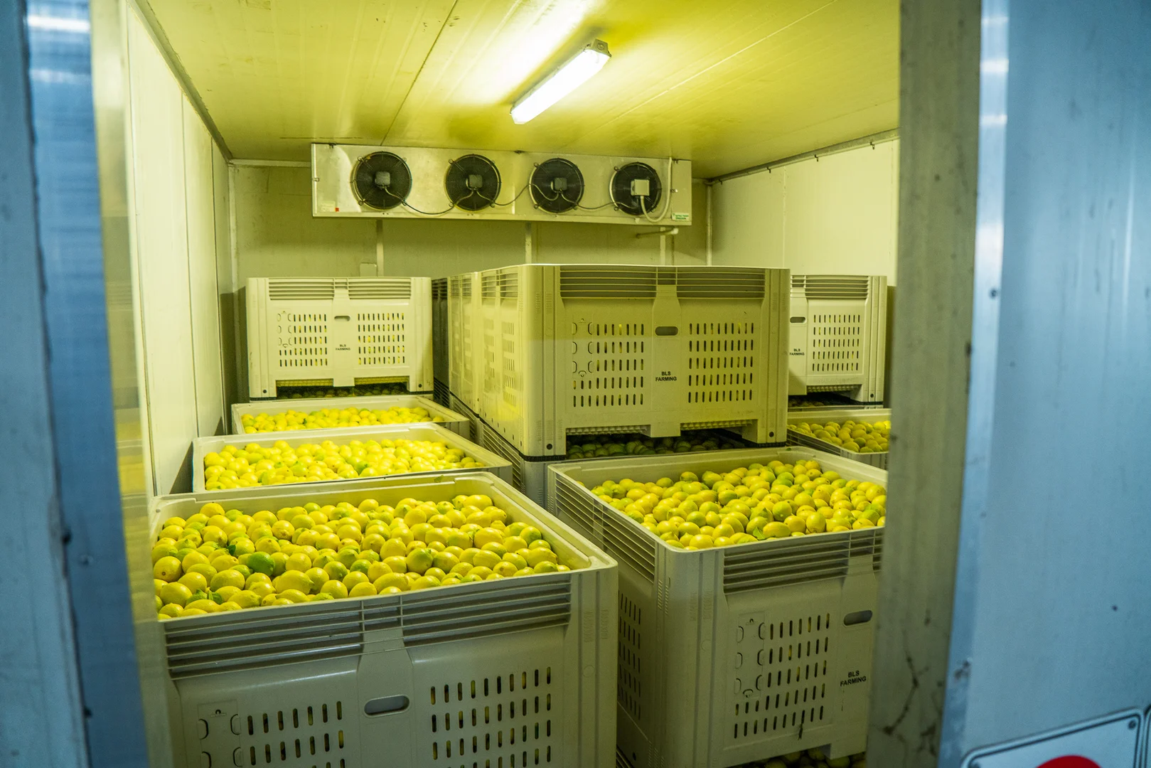 Additional image 8 of Dimbulah QLD 4872