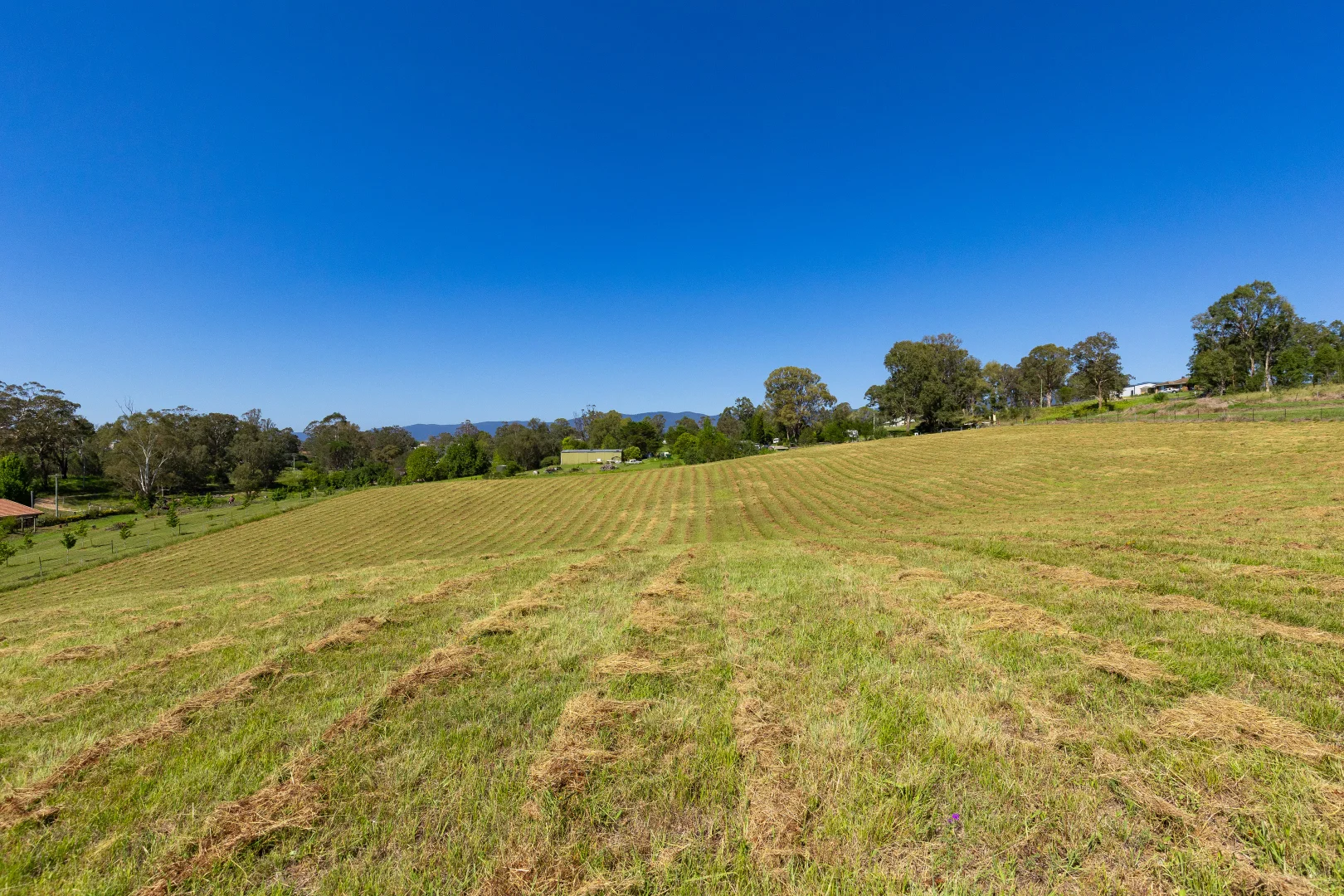 Additional image 11 of 1 Geraghty Street, Bemboka NSW 2550