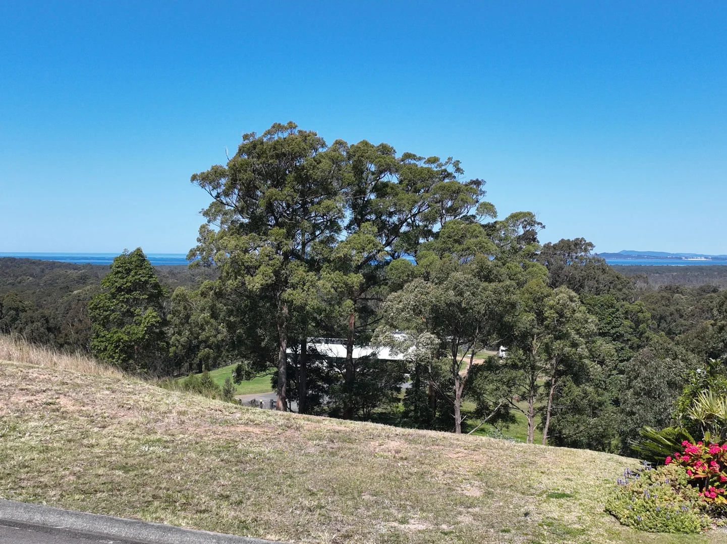 23 Eastern Valley Way, Tallwoods Village NSW 2430