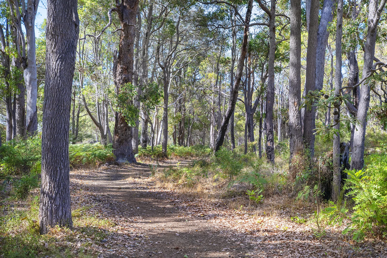 Additional image 17 of 9 Tinglewood Court, Cowaramup WA 6284