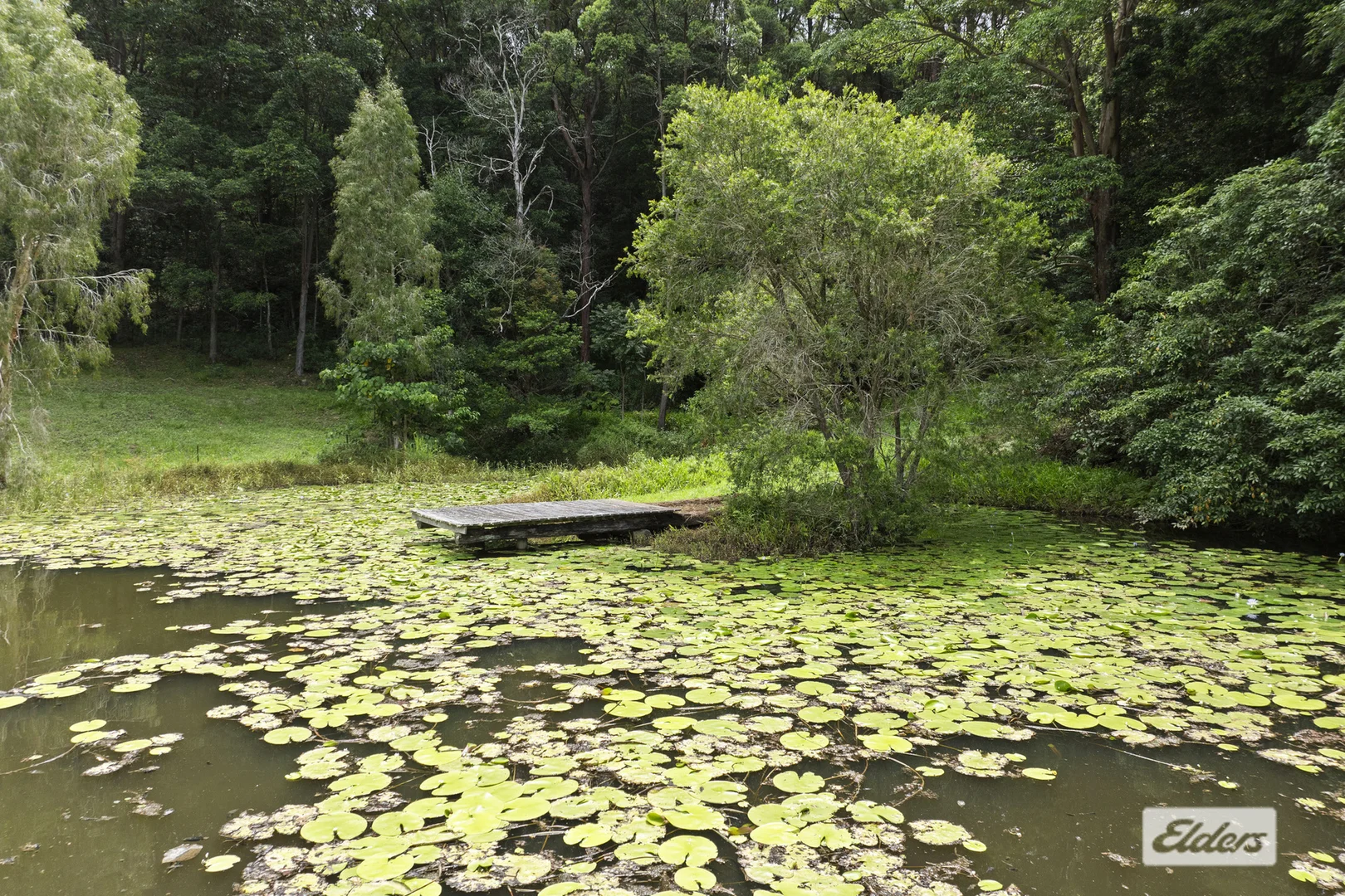 Additional image 30 of 354 Kunghur Creek Road, Kunghur Creek NSW 2484