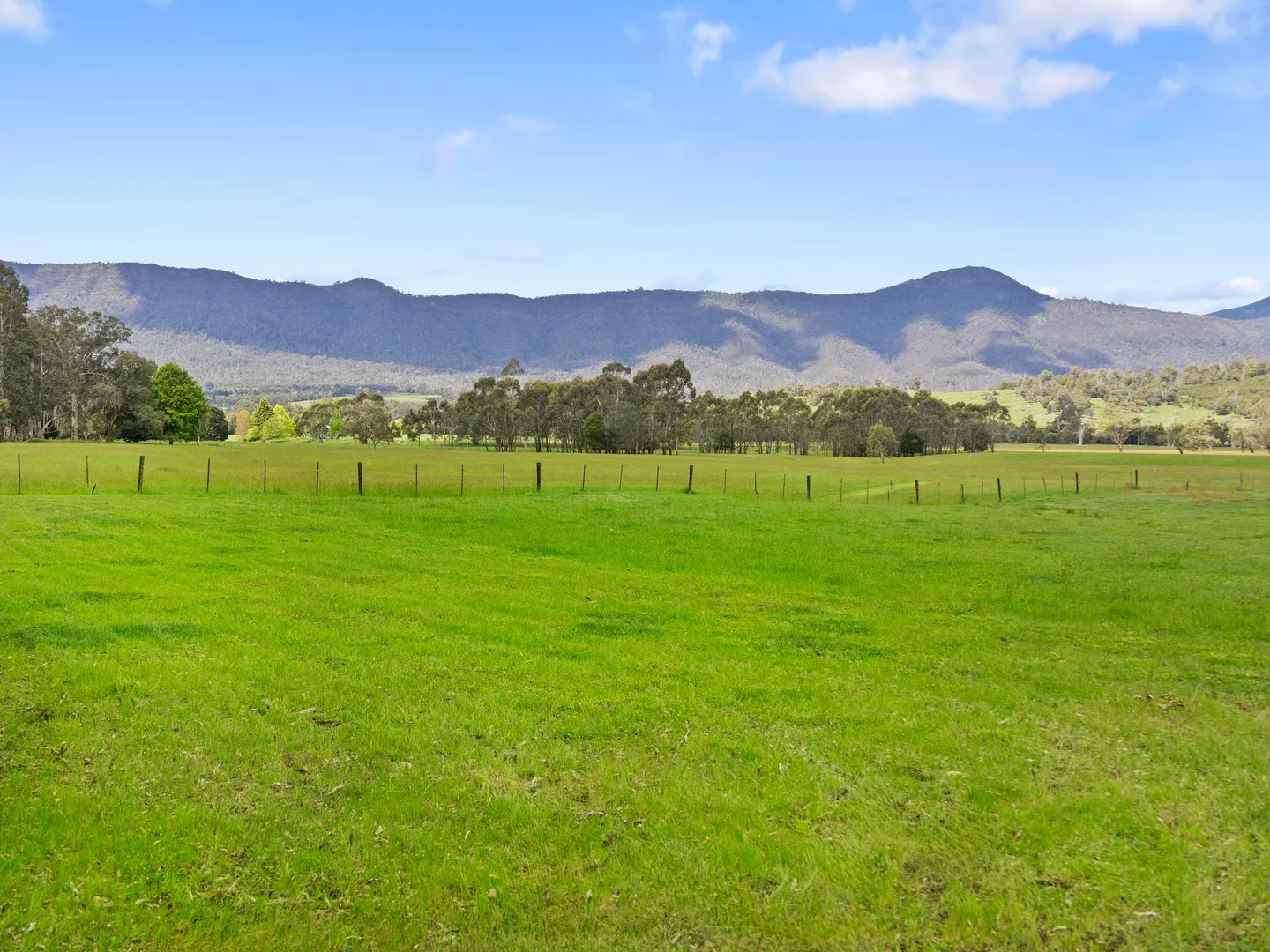 Additional image 10 of 2339 Maroondah Highway, Buxton VIC 3711