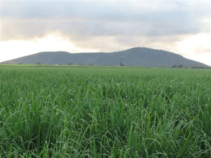 Additional image 3 of Home Hill QLD 4806