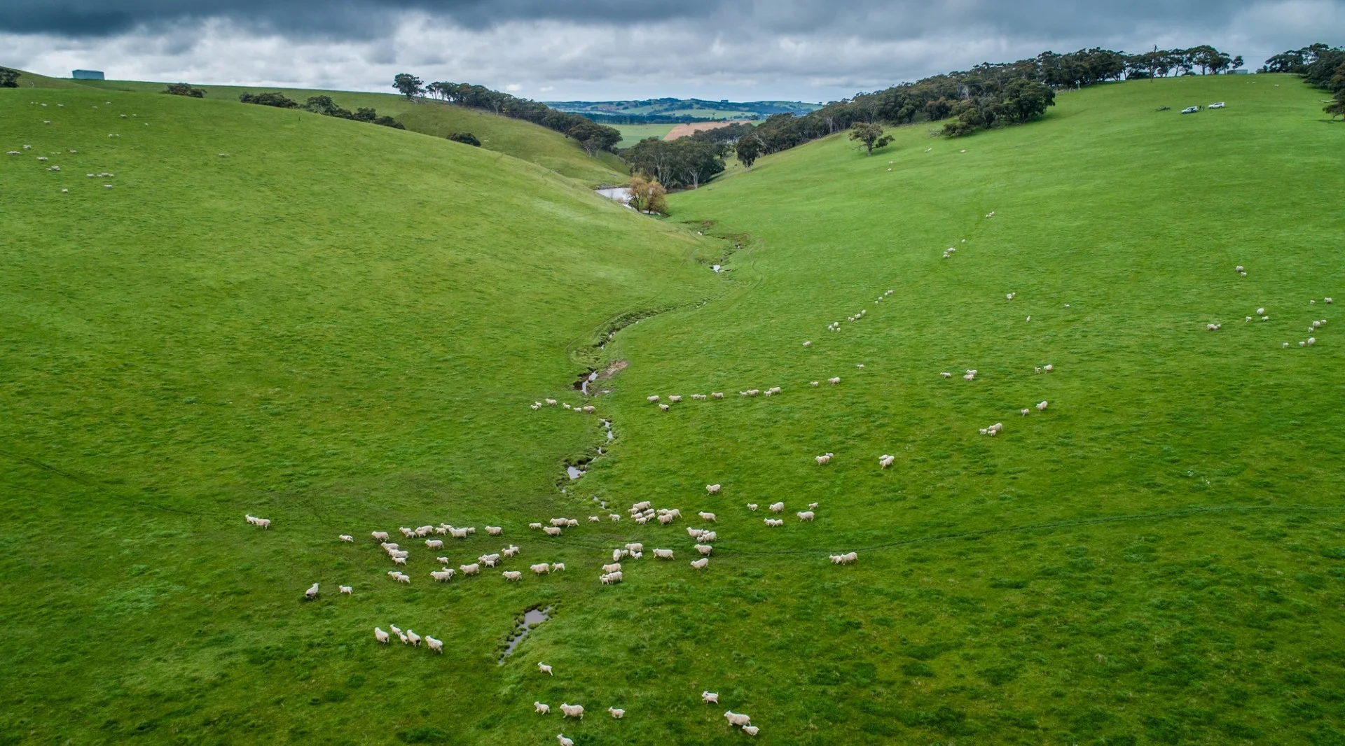 Additional image 6 of Old Sellicks Hill Road, Sellicks Hill SA 5174