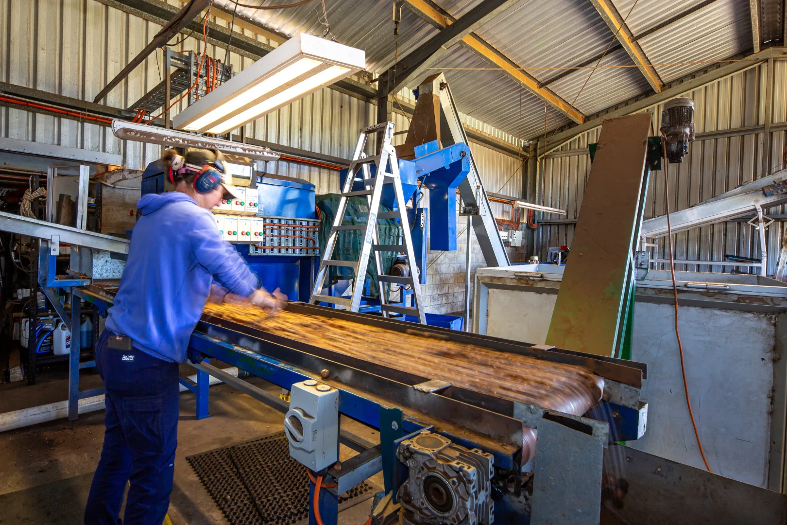 Additional image 14 of 323 Jensen Road, Lower Wonga QLD 4570