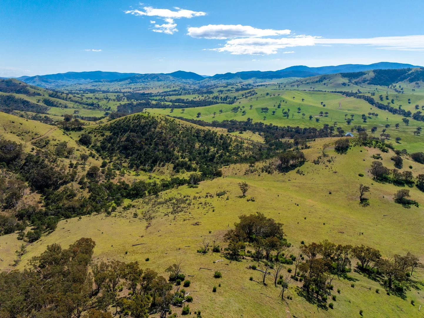 Additional image 9 of 1139 Ensay-Doctors Flat Road, Ensay VIC 3895