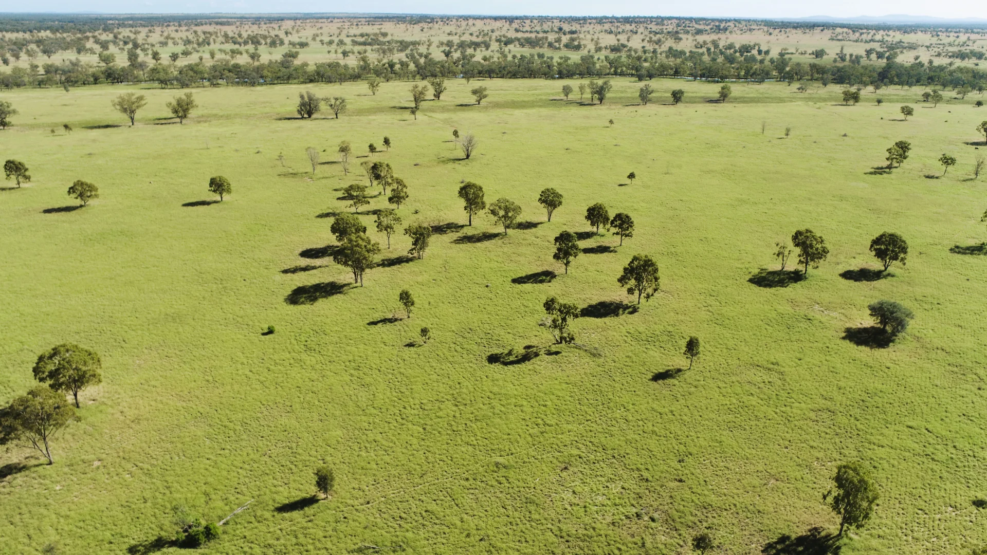 Additional image 15 of 'Glencoe' 28547 Carnarvon Highway, Roma QLD 4455