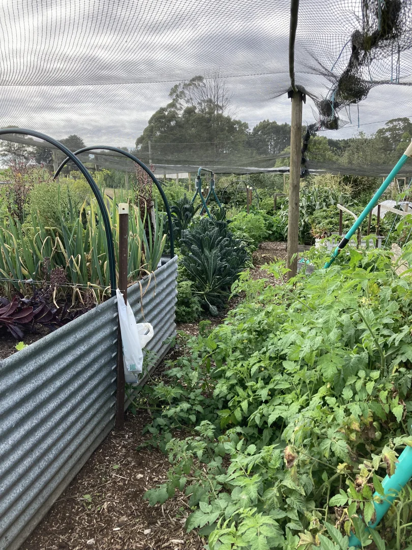 Additional image 22 of 729 Circular Road, Ridgley TAS 7321