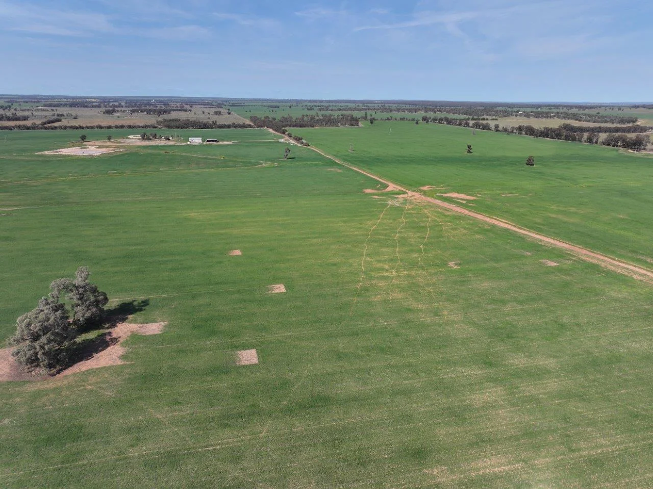 Additional image 4 of 'Dundee', 122 Winters Lane, West Wyalong NSW 2671