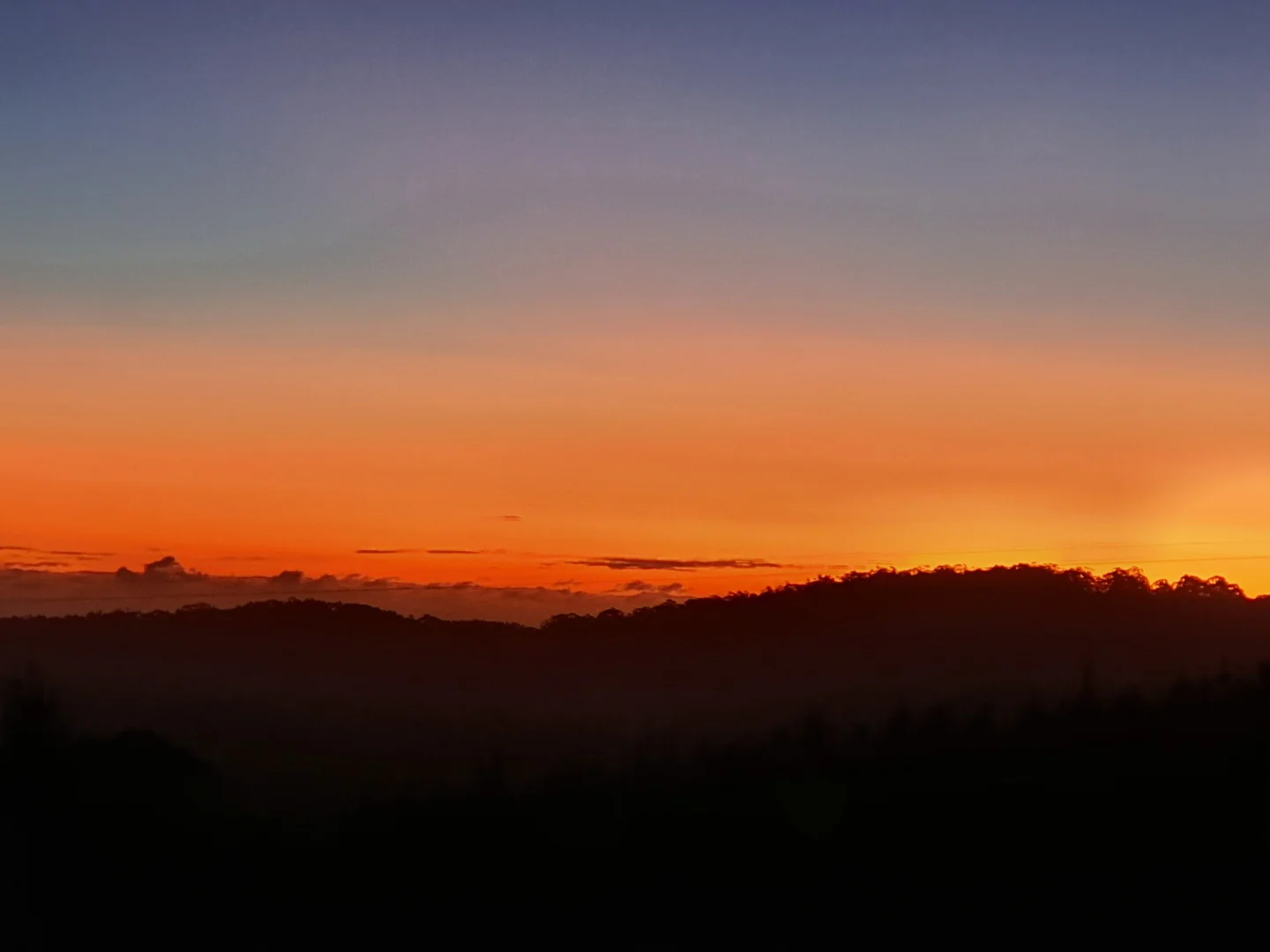 Additional image 31 of 420 Amiets Road, Wyelangta VIC 3237