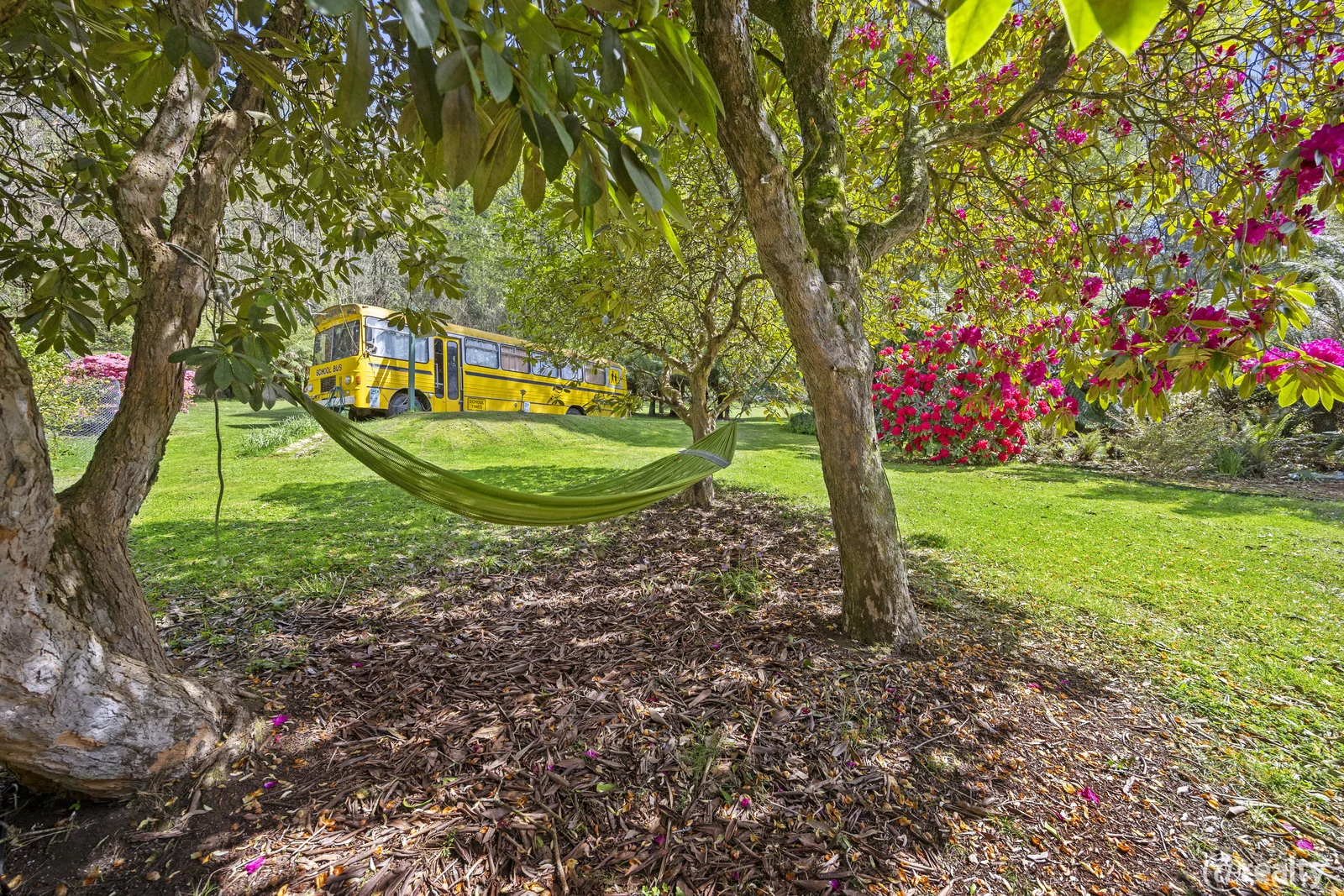 Additional image 20 of 3/987 Myers Creek Road, Toolangi VIC 3777