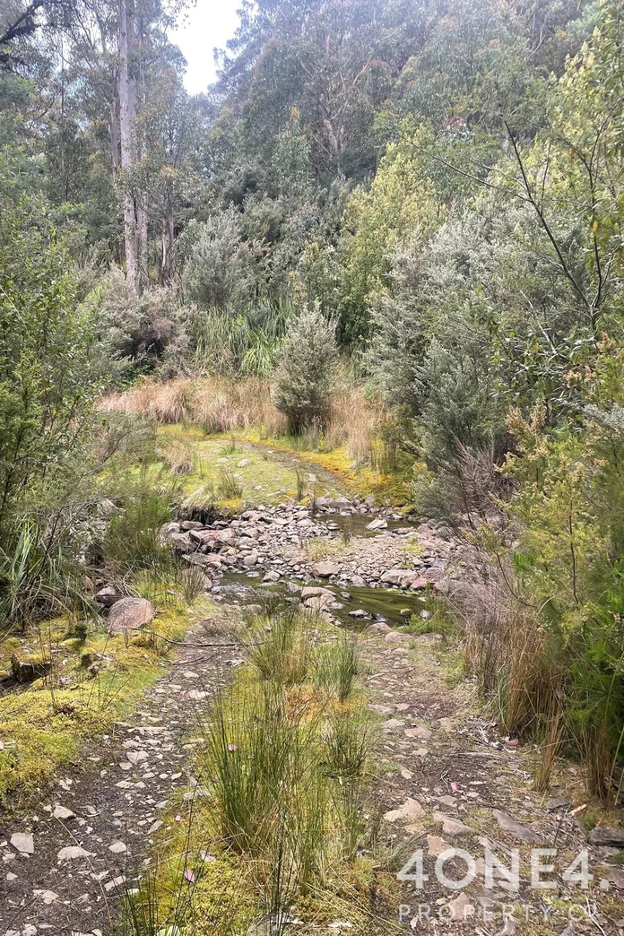 Additional image 31 of 279 Mount Hull Road, Collinsvale TAS 7012