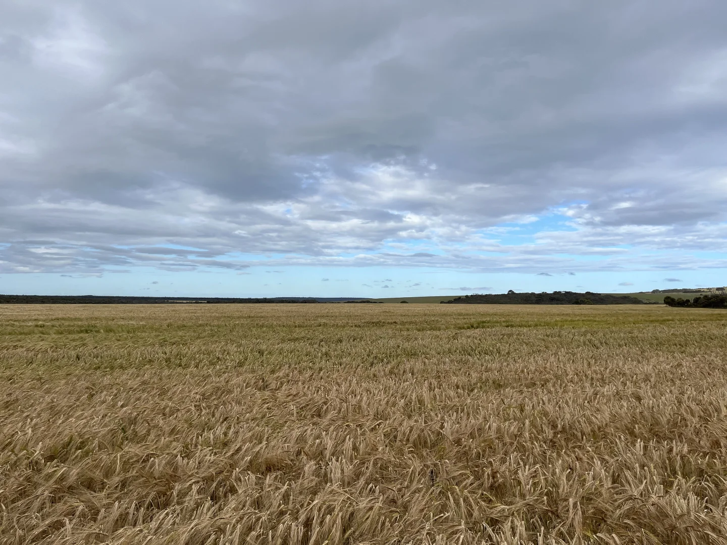 Additional image 22 of 39949 South Coast Highway, Green Range WA 6328