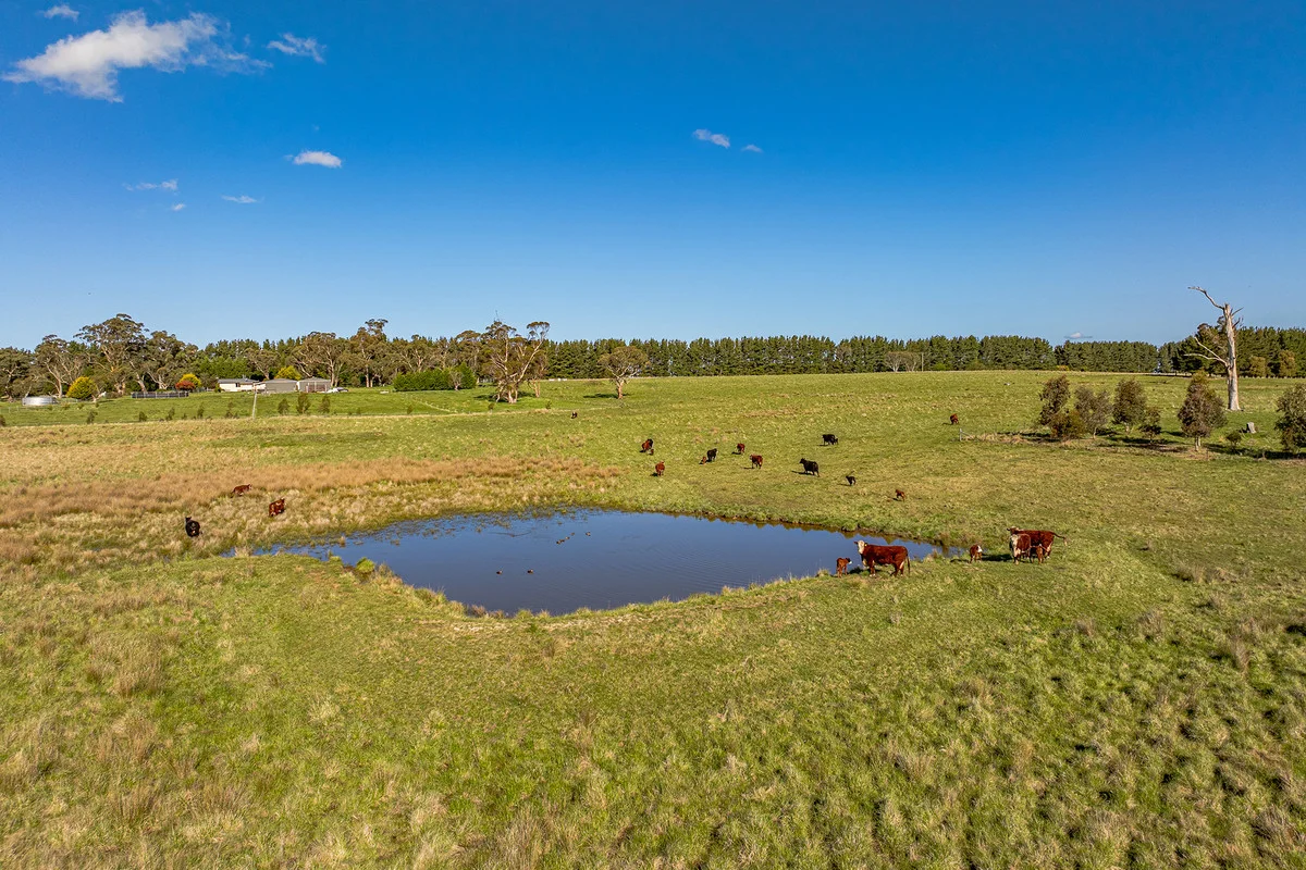 Additional image 23 of 525 Gorham Road, Crookwell NSW 2583