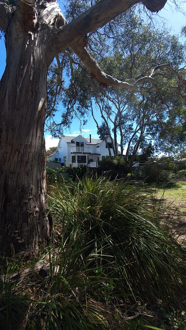 Additional image 3 of 121 Scamander Avenue, Scamander TAS 7215