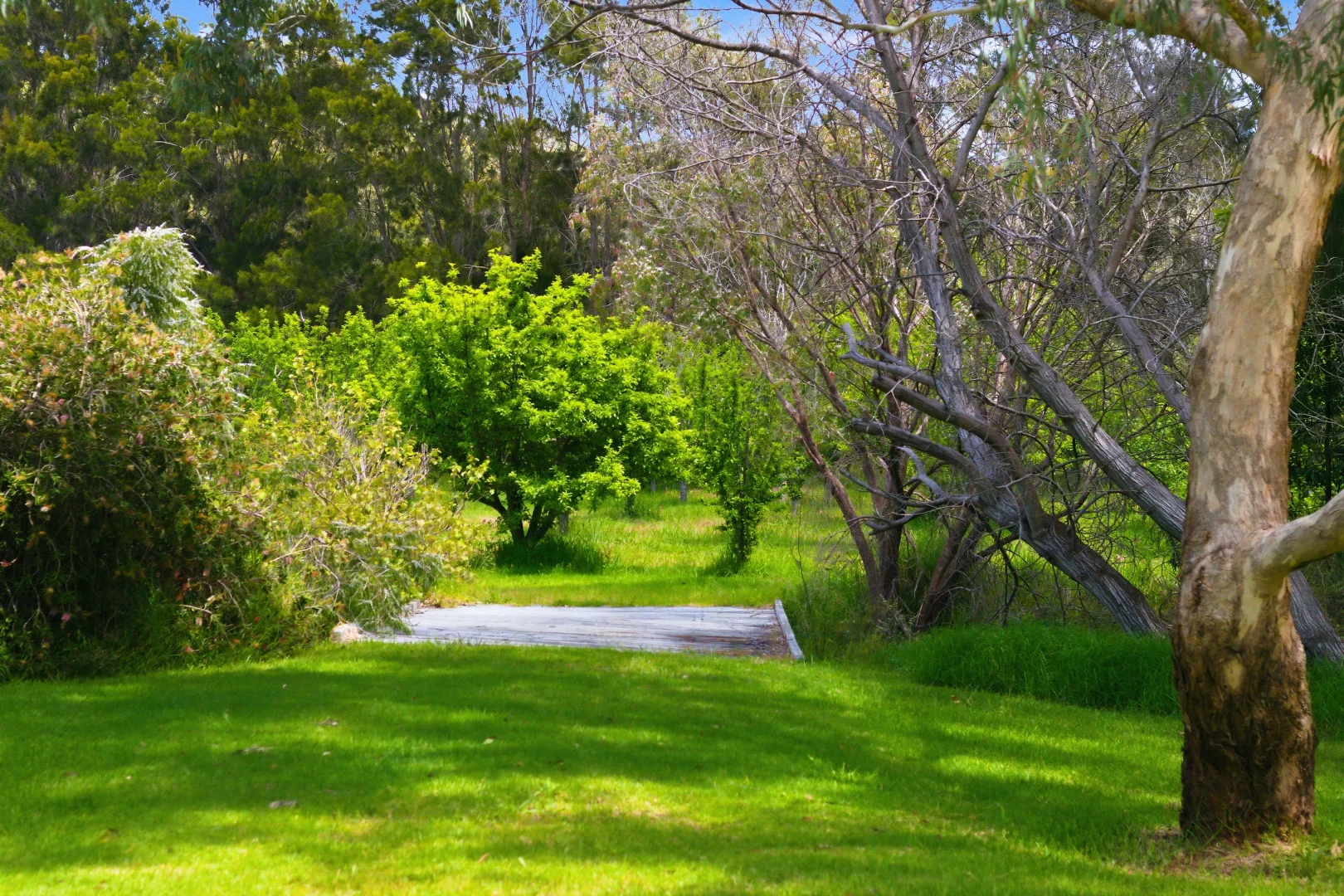 Additional image 27 of Lot PL 2/1120 Wildwood Road, Yallingup Siding WA 6282