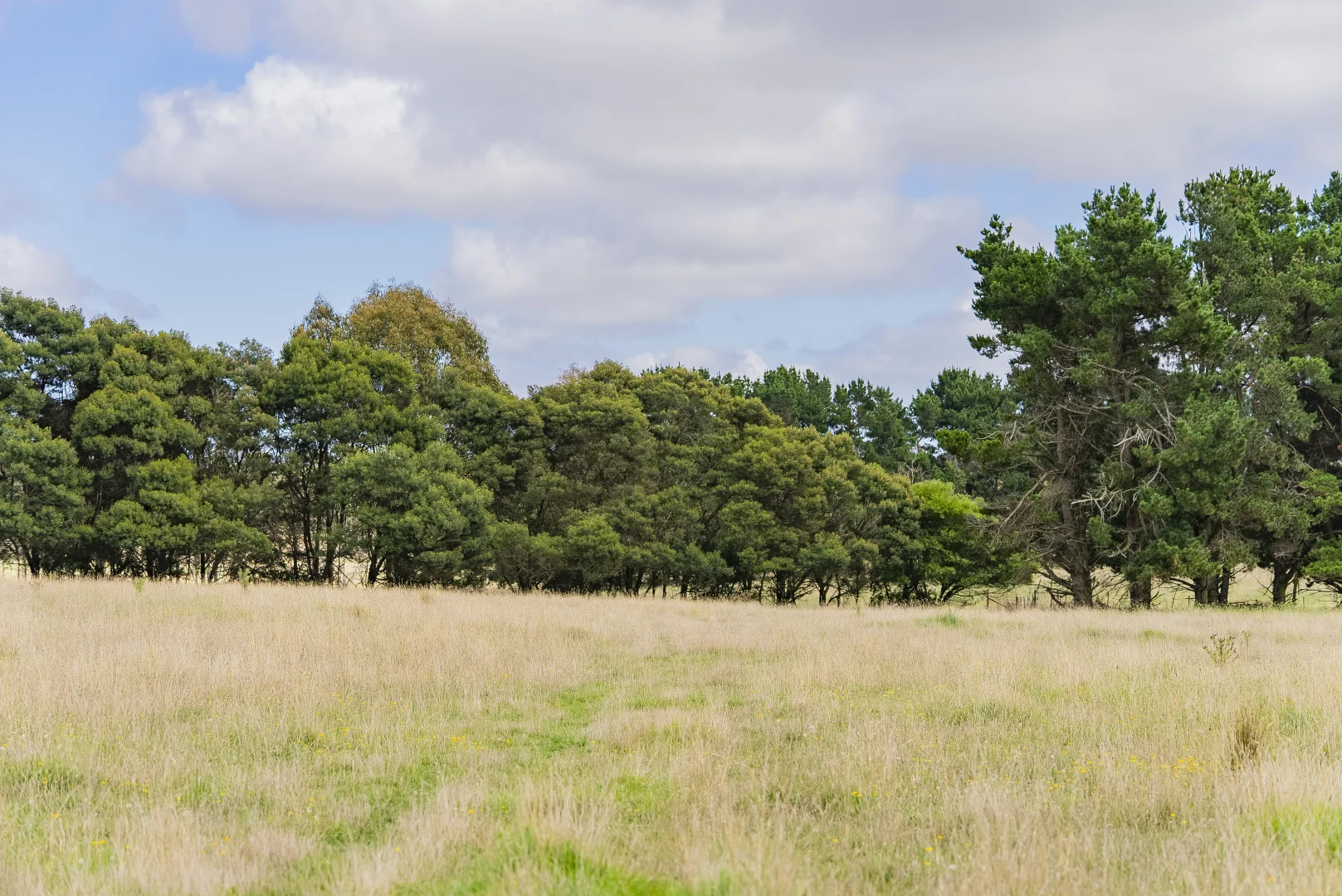 Additional image 20 of 251 Mount Rae Road, Roslyn NSW 2580