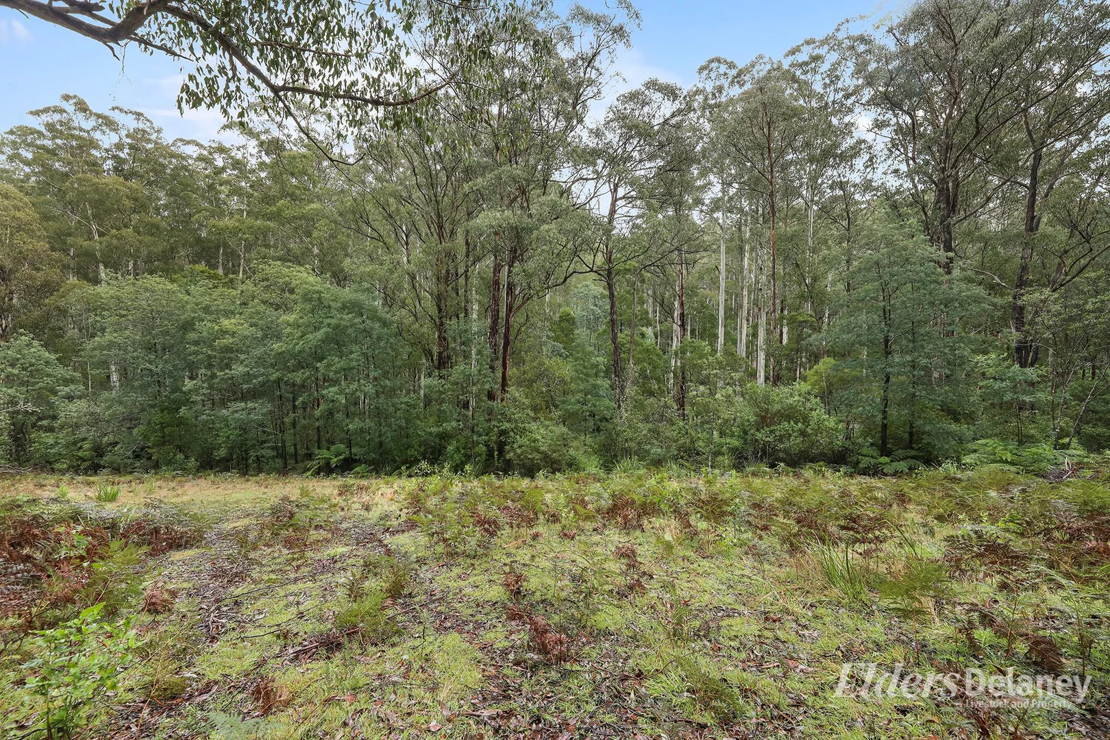 Additional image 19 of 134 Duggan North Road, Fumina VIC 3825