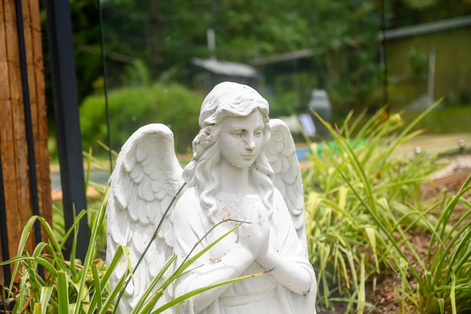 Additional image 40 of 86 Parmenters Road, Wilsons Creek NSW 2482