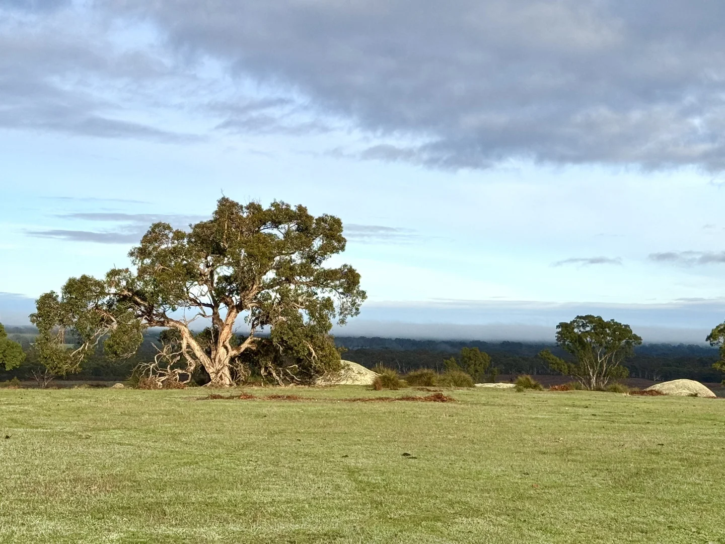 Additional image 7 of Dergholm VIC 3312