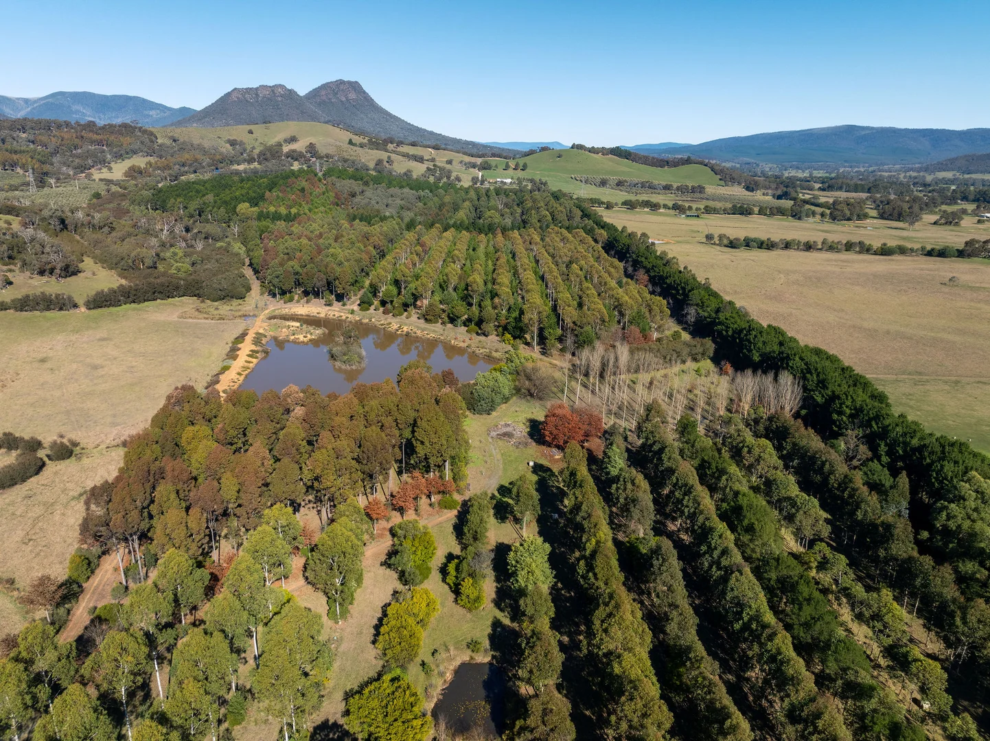 Additional image 19 of 252 Taggerty - Thornton Road, Taggerty VIC 3714