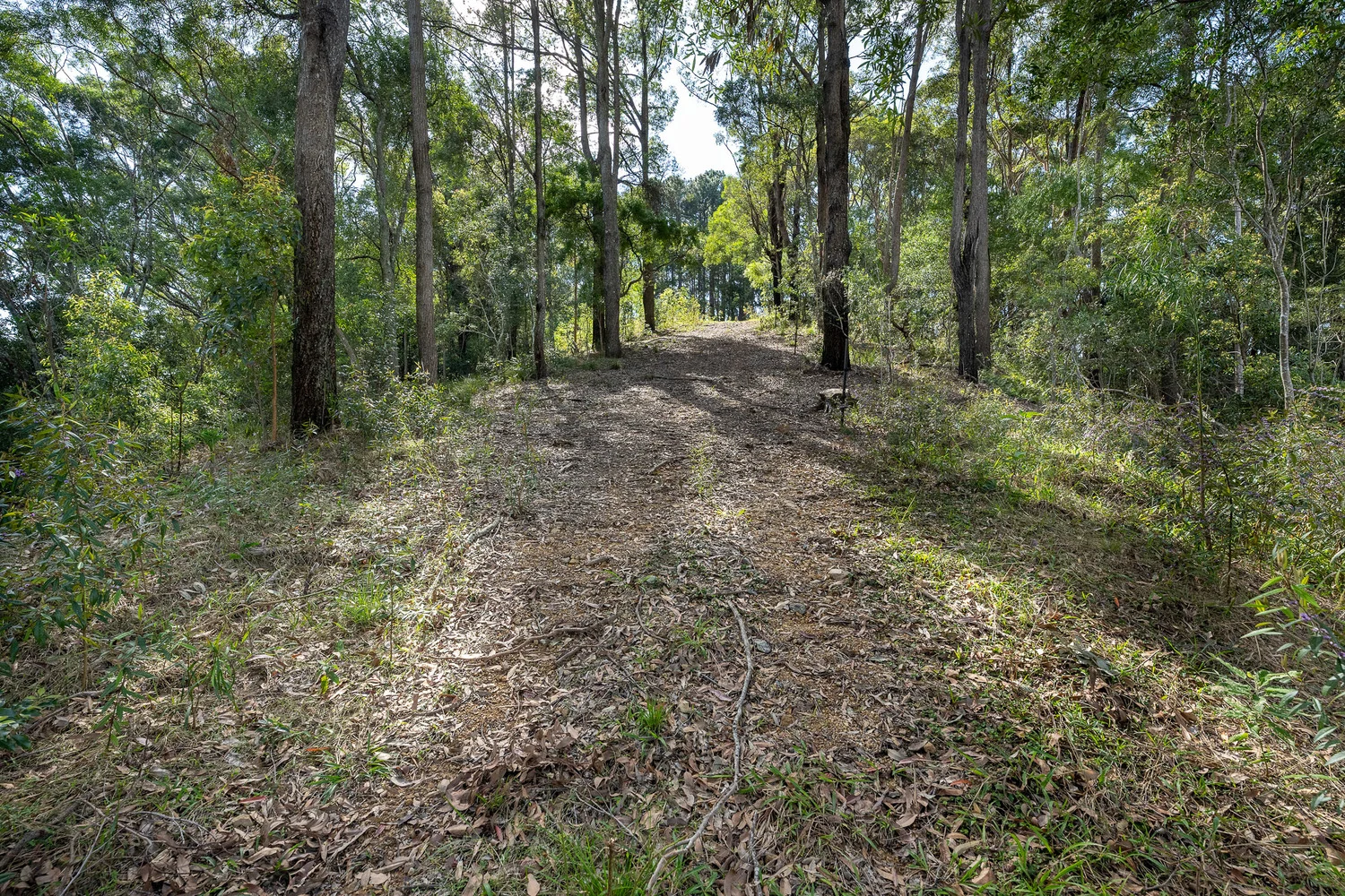 Additional image 18 of 38 Wooyung Road, Wooyung NSW 2483