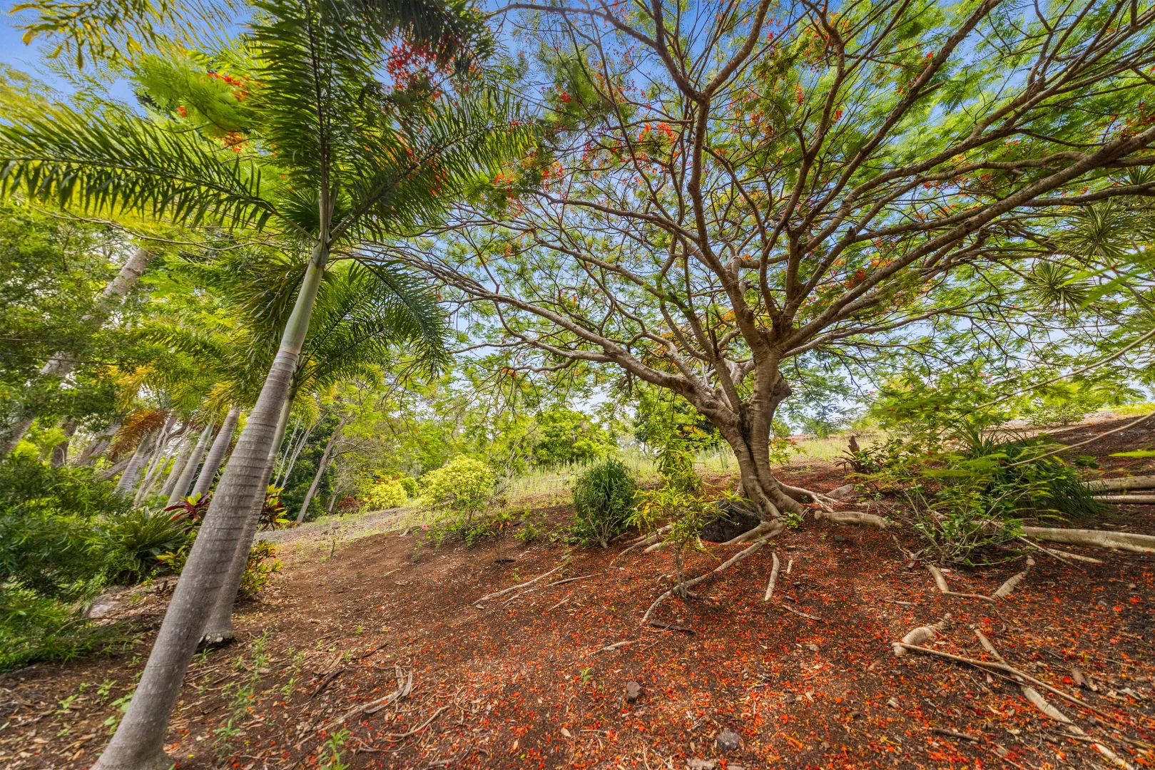 Additional image 29 of 3 Blanckensee Road, Langshaw QLD 4570