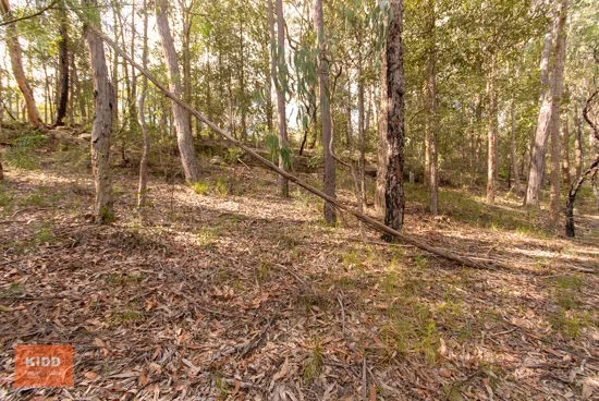 Additional image 2 of 62 Una Road, Bucketty NSW 2250