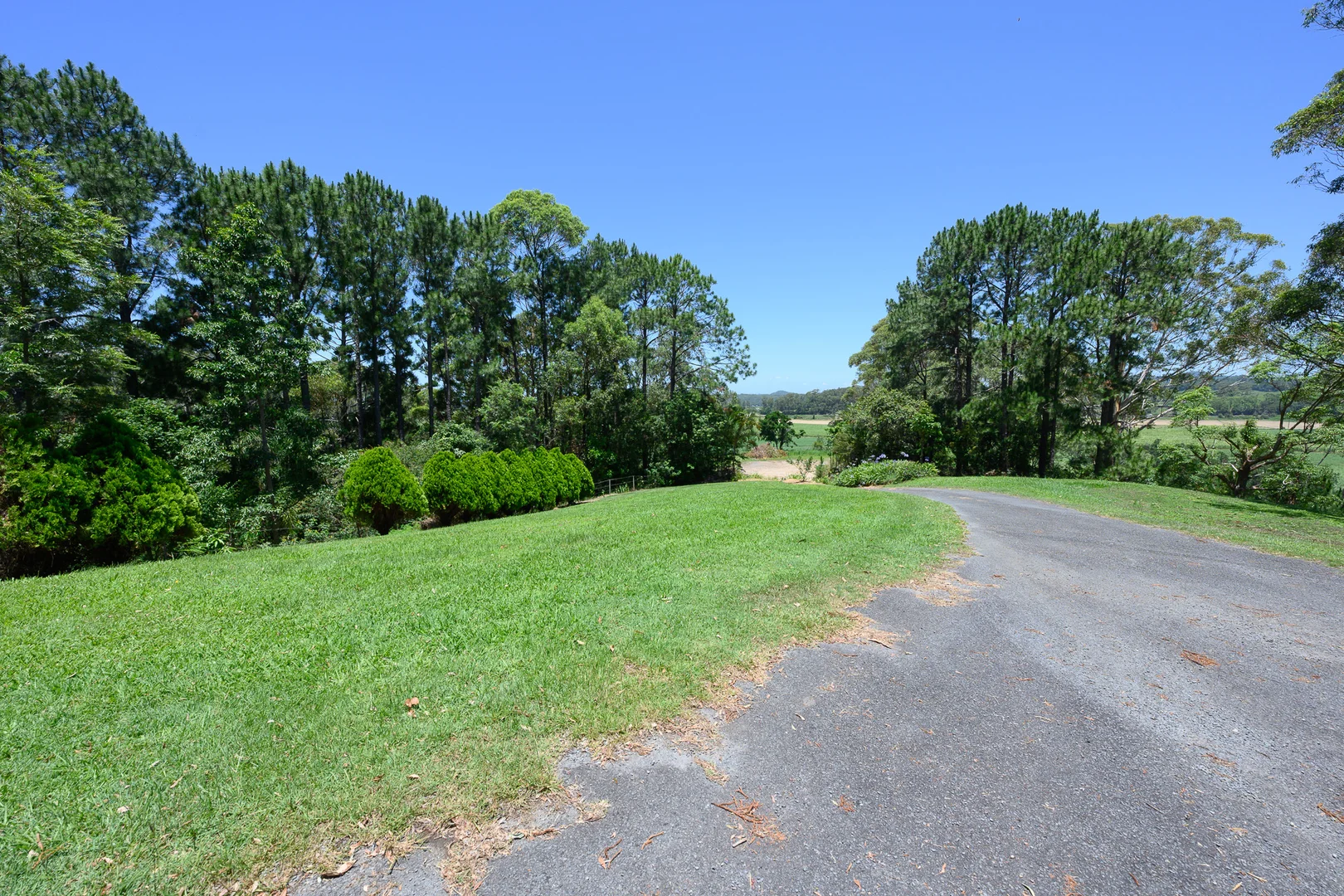 Additional image 22 of 227 Hulls Road, Crabbes Creek NSW 2483