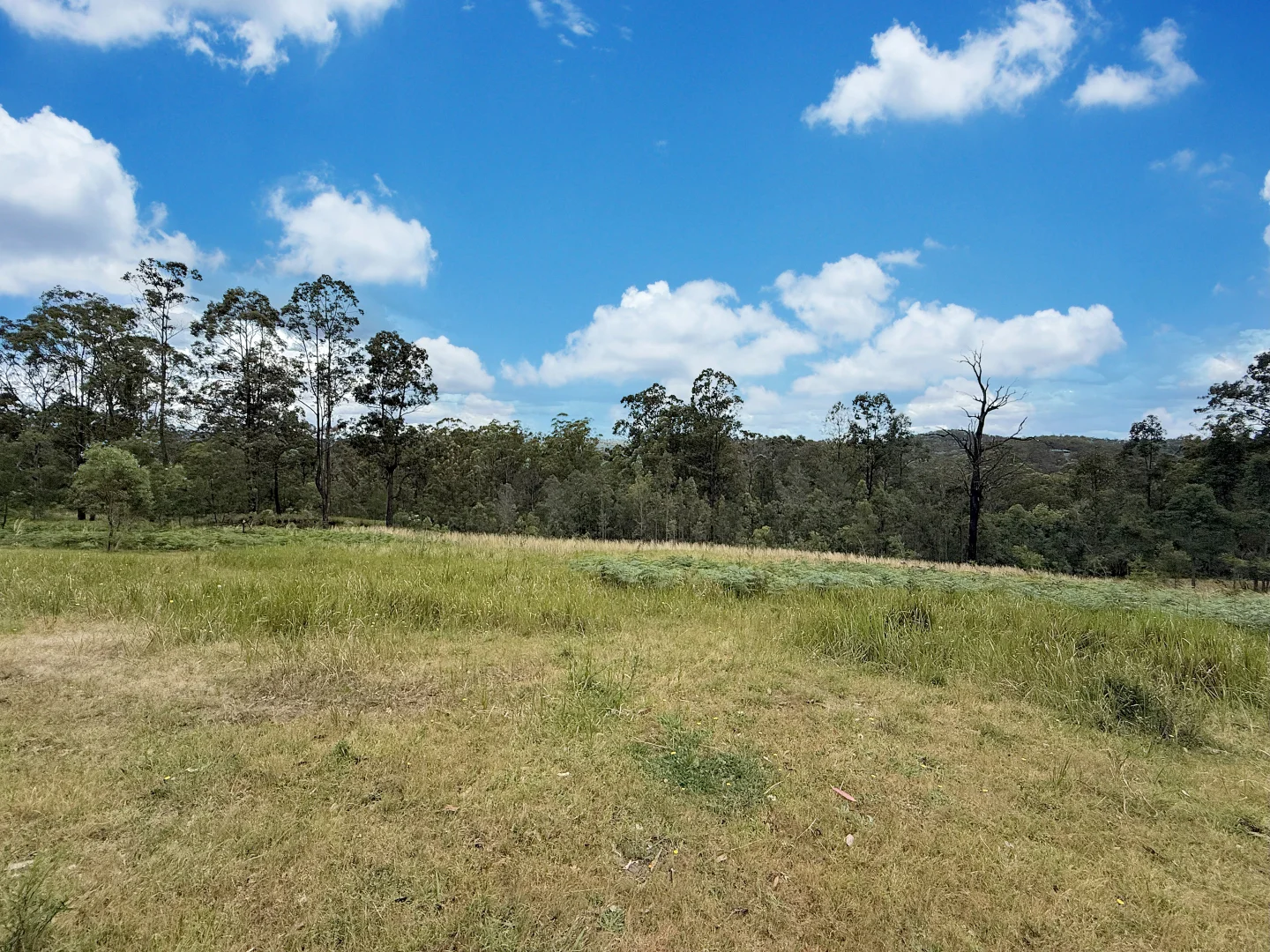 Additional image 33 of 281 Watagan Creek Rd, Laguna NSW 2325