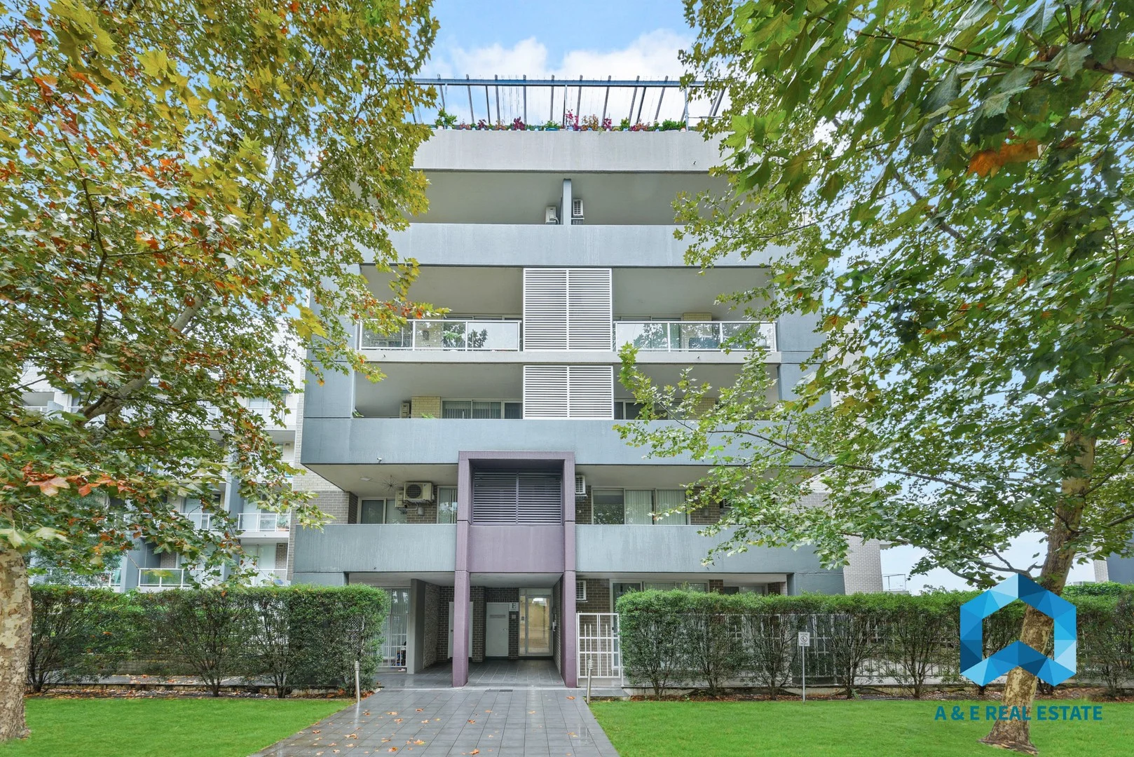 Additional image 8 of Courallie Ave, Homebush West NSW 2140