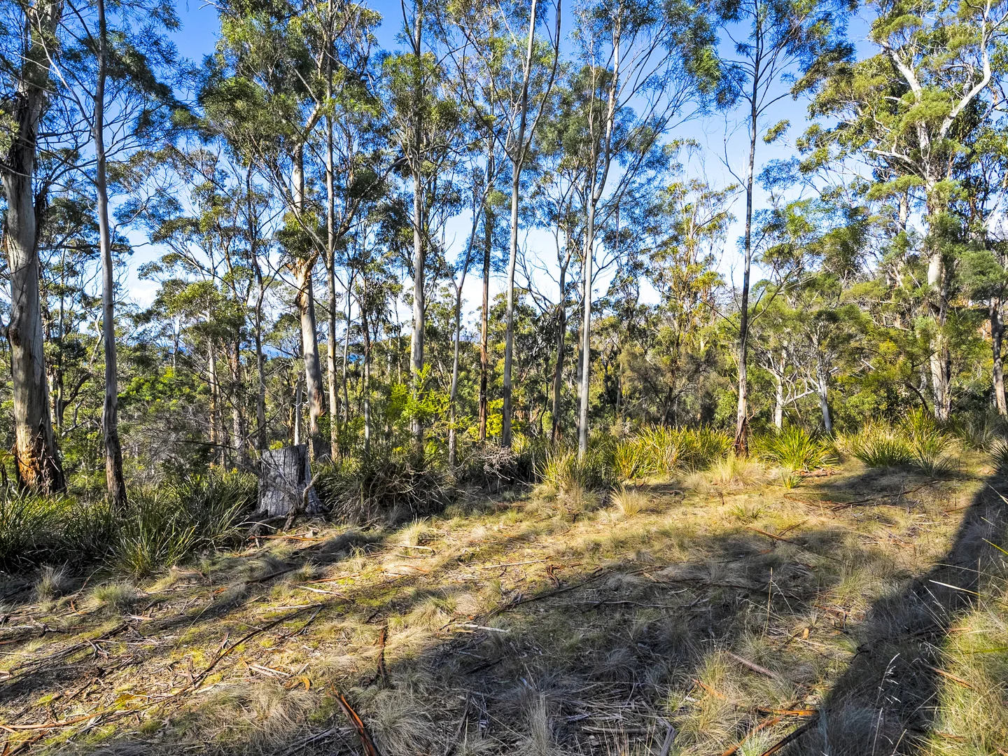 Additional image 3 of 196 Alma Road, Orford TAS 7190