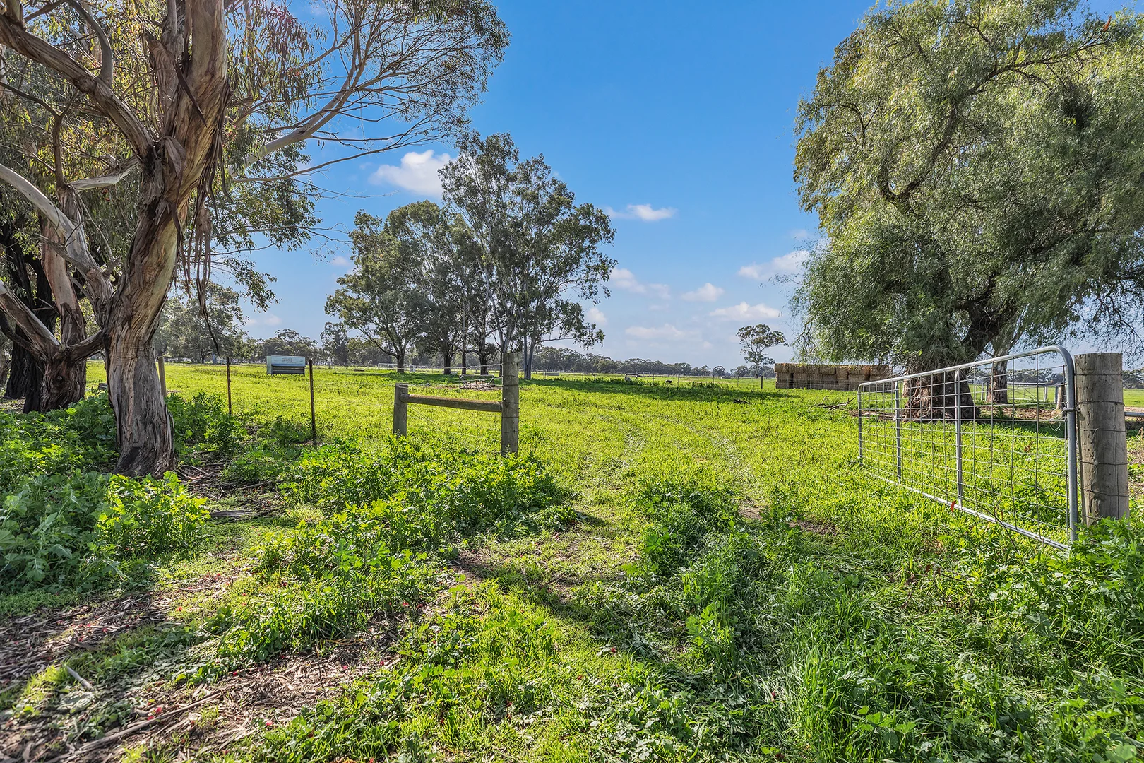 Additional image 24 of 341 Murray Valley Highway, Strathmerton VIC 3641