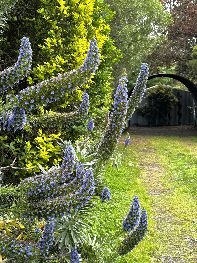 Additional image 24 of 1409 Birregurra Deans Marsh Road, Deans Marsh VIC 3235