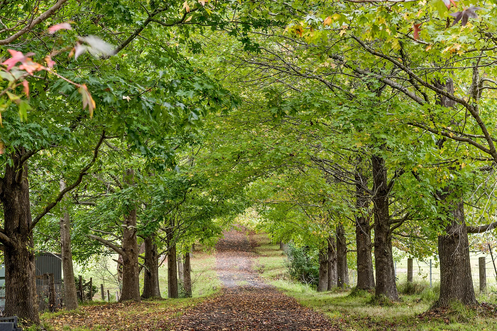 Additional image 35 of 195 Devitts Lane, Meroo Meadow NSW 2540