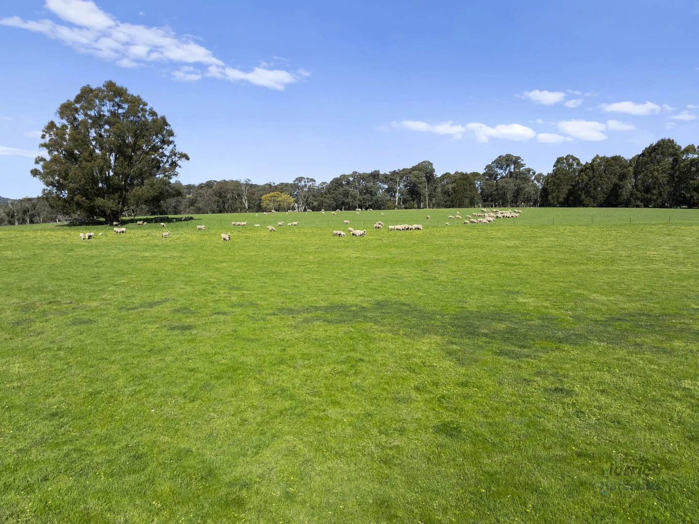 Additional image 9 of 99 Tames Road, Strathbogie VIC 3666