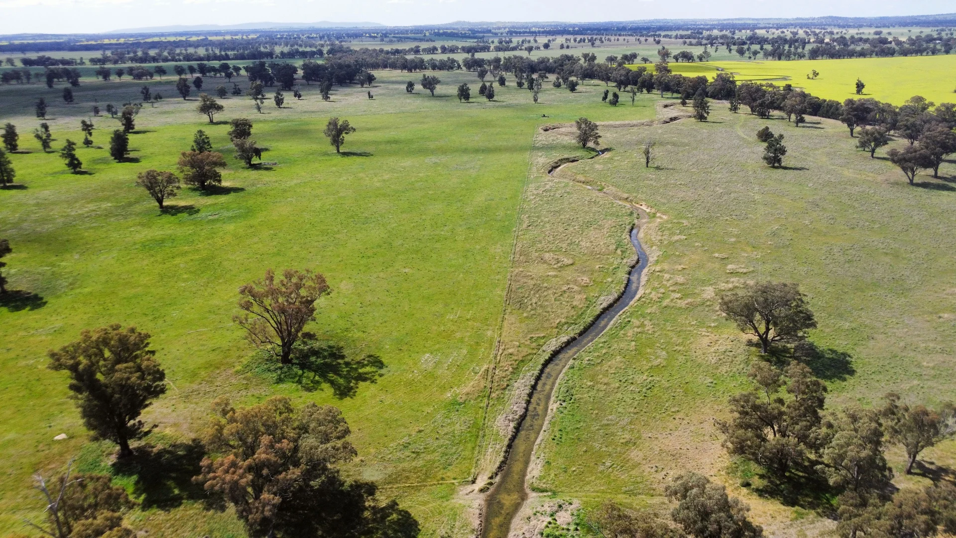 Additional image 2 of 1843 Yeo Yeo Hampstead Road, Young NSW 2594