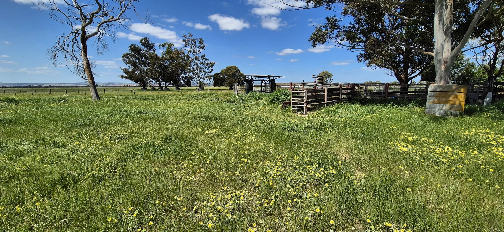 Additional image 19 of 4 Pin Pin Road, Beermullah WA 6503