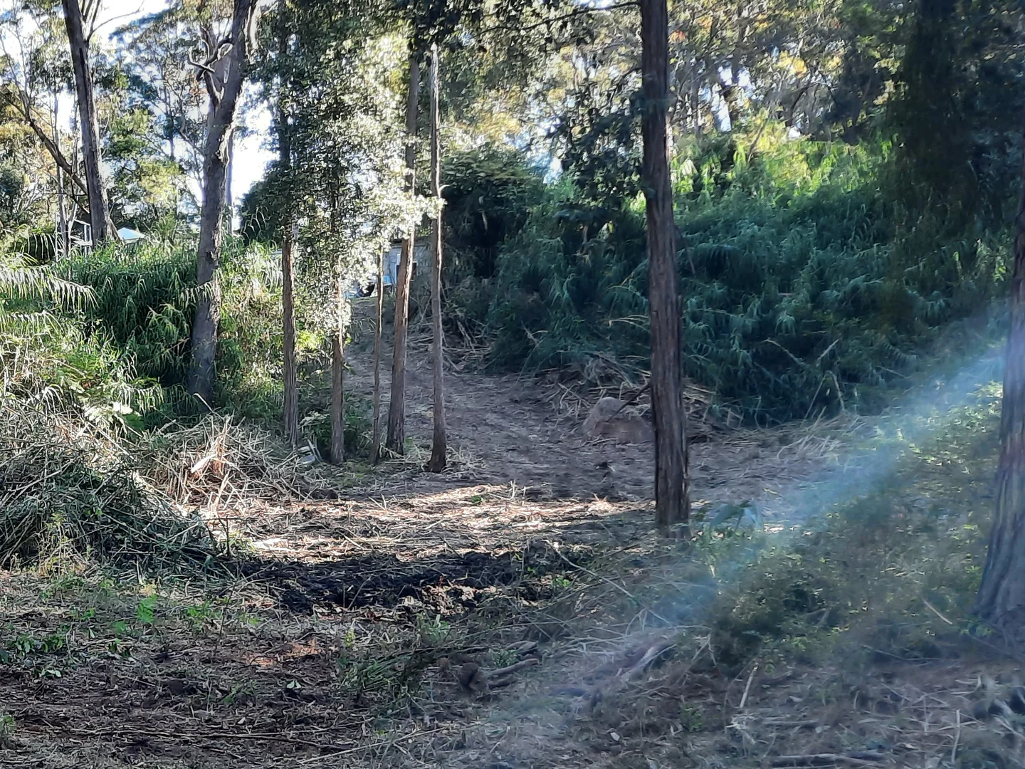 Additional image 13 of 2 Sunnyridge Road, Arcadia NSW 2159