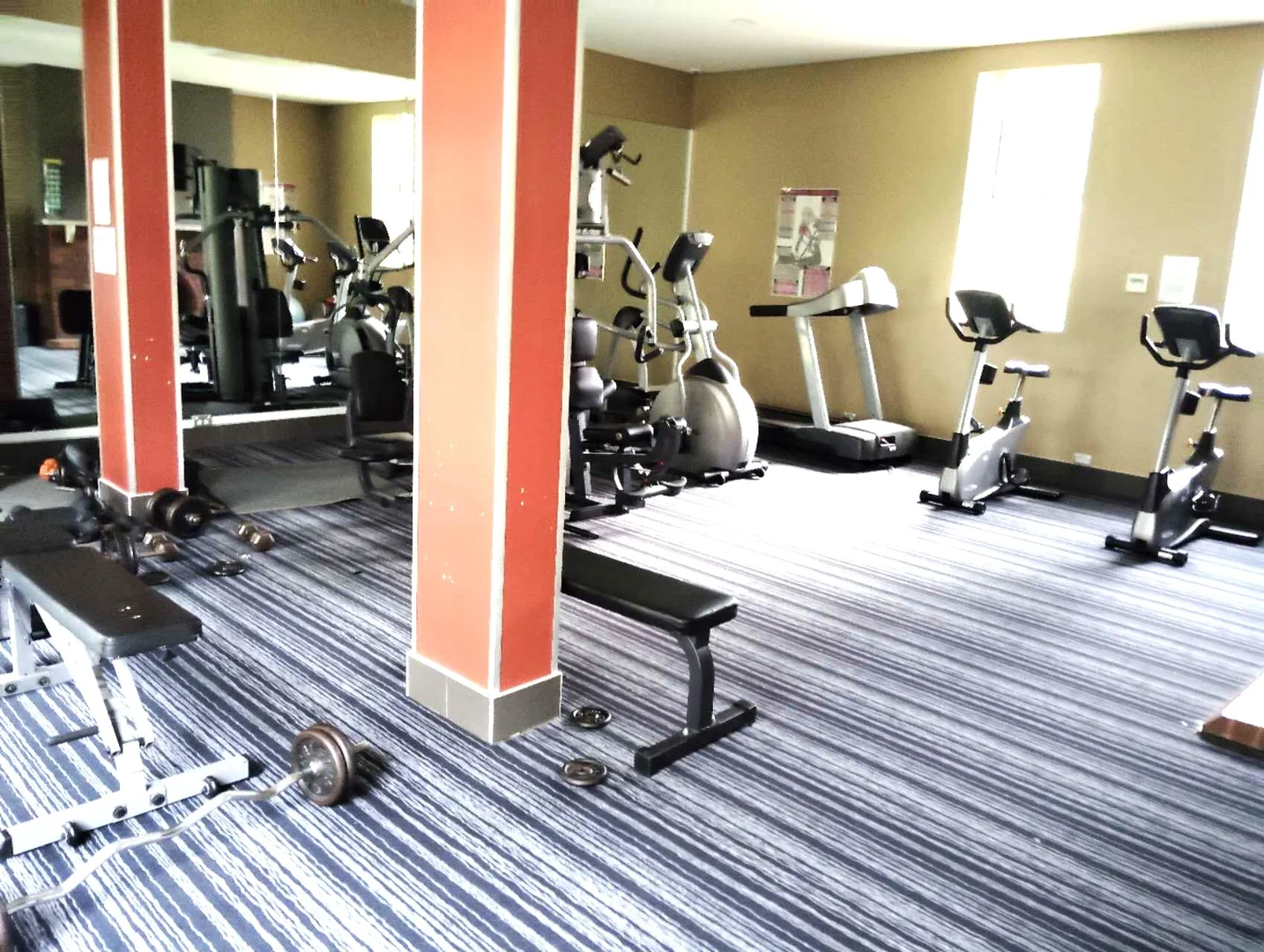 Additional image 13 of 229/132-138 KILLEATON STREET, St Ives NSW 2075