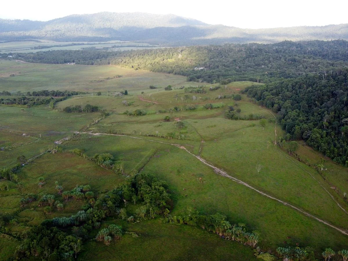 Additional image 35 of 000 Poppi Road, Cowley QLD 4871
