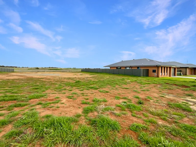 Additional image 3 of 33 Federation Boulevard, Forbes NSW 2871