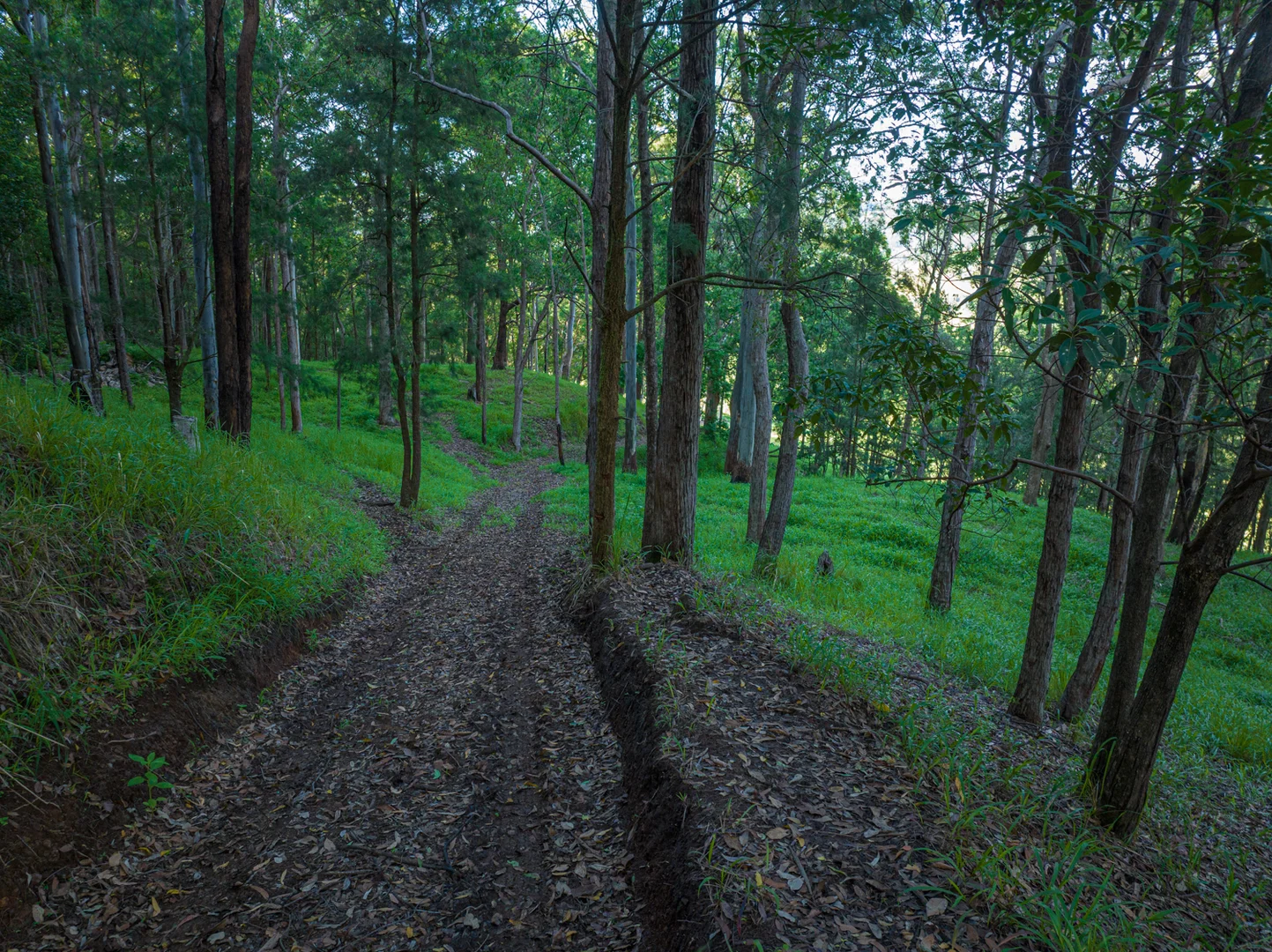 Additional image 33 of 2298 Nimbin Road, Nimbin NSW 2480