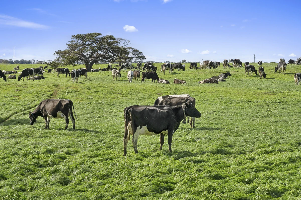 Additional image 37 of 280 Ondit-Warrion Road, Ondit VIC 3249