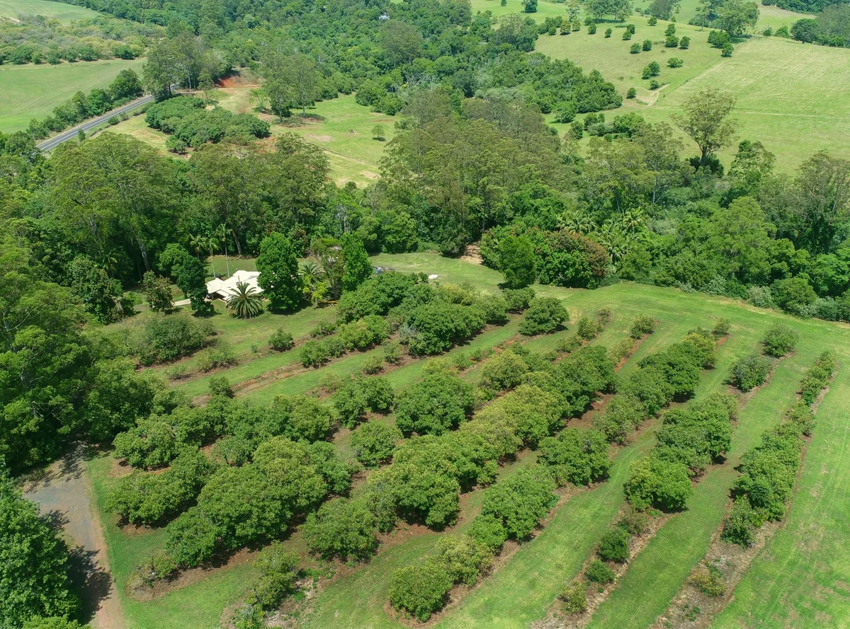 Additional image 17 of 3384 Esk-Hampton Road, Ravensbourne QLD 4352