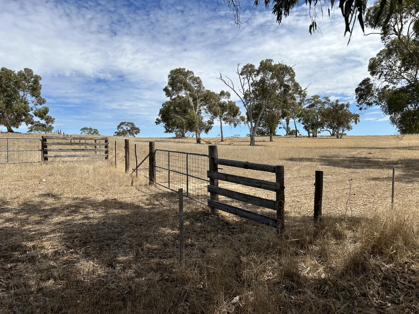 Additional image 24 of Lot 189 and 323 Roy Lawries Road, Lochaber SA 5271