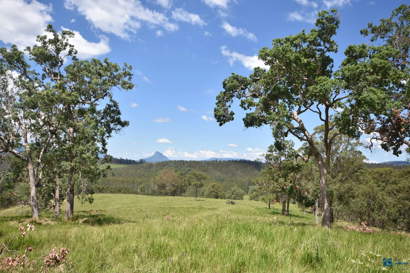 Additional image 47 of 1212 Beaury Creek Road, Urbenville NSW 2475